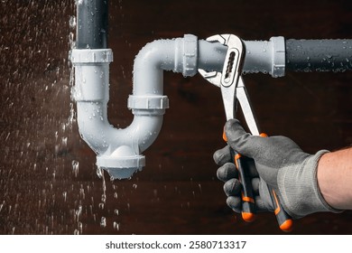 Our Work 56